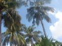 db_14-0508- db_14-0508-