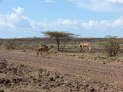 db_14-0643- db_14-0643-