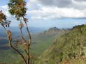 db_14-0919- db_14-0919-