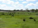 db_14-0943- db_14-0943-