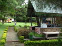 db_14-0968- db_14-0968-