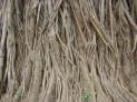 db_14-0992- db_14-0992-
