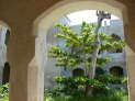 db_14-1000- db_14-1000-