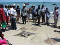 db_14-1024- db_14-1024-