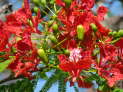 db_14-1061- db_14-1061-