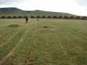 db_17-147- db_17-147-