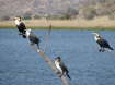 db_22-185- db_22-185-