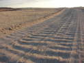 db_DSC0101231