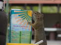 db_DSC03494 db_DSC03494