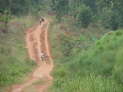 db_DSC05700 db_DSC05700