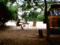 db_Img0013030