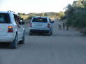 Kgalagadi Nationalpark