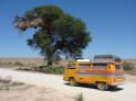 Kgalagadi Nationalpark