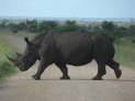 Kruger Nationalpark