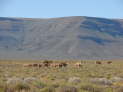 Tankwa Karoo Nationalpark