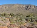 Tankwa Karoo Nationalpark