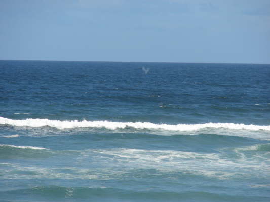 Yzerfontein