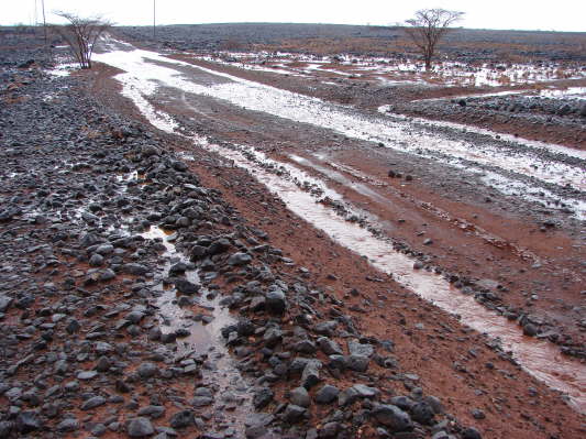 bei Kalacha, Kenya