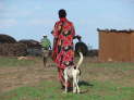 Balesa, Kenya