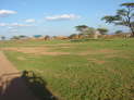 Balesa, Kenya