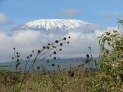 Oloitokitok, Kenya