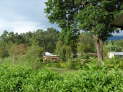 Bongo Camp, Tukuyu, Tanzania