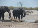 Etosha Nationalpark