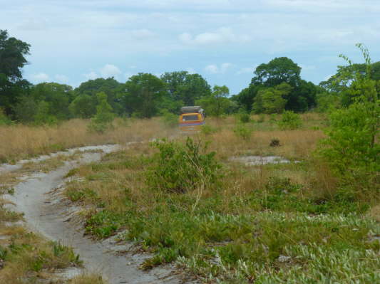 Liuwa Plains Nationalpark