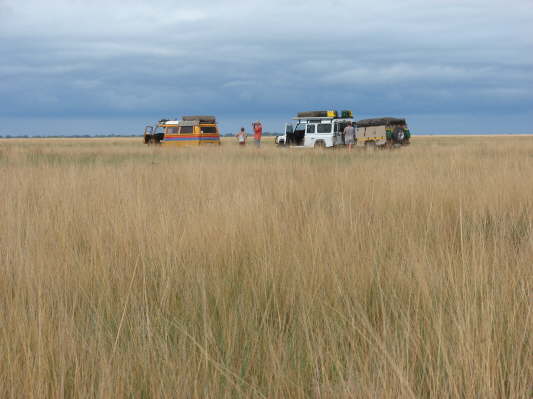 Liuwa Plains Nationalpark