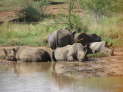 Pilanesberg Nationalpark