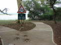 Mkuze NP