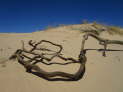 Witsand Nature Reserve