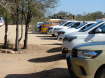 Kruger Nationalpark