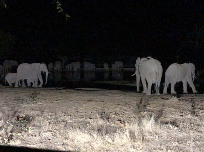 Kruger Nationalpark