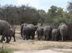 Kruger Nationalpark