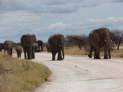 Etosha-Nationalpark