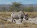 Etosha-Nationalpark