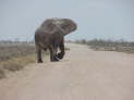 Etosha-Nationalpark