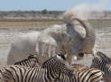 Etosha-Nationalpark