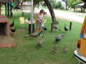 Kaisosi Lodge, Rundu