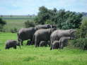 Chobe Nationalpark