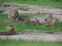 Chobe Nationalpark