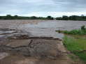 Kruger Nationalpark