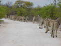 Etosha Nationalpark