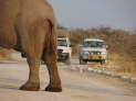 Etosha Nationalpark