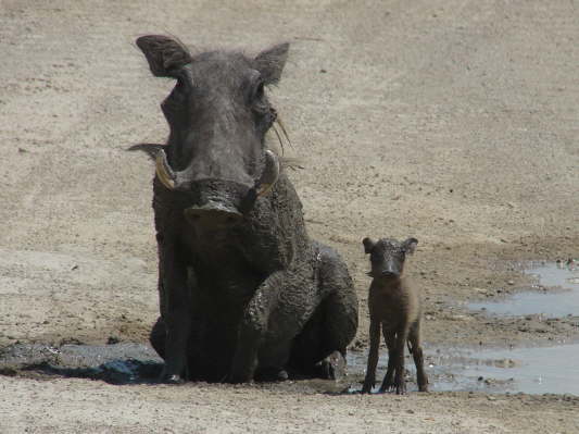 Mudumu Nationalpark