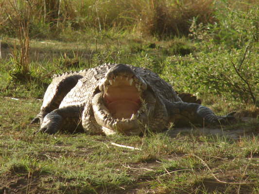Mudumu Nationalpark