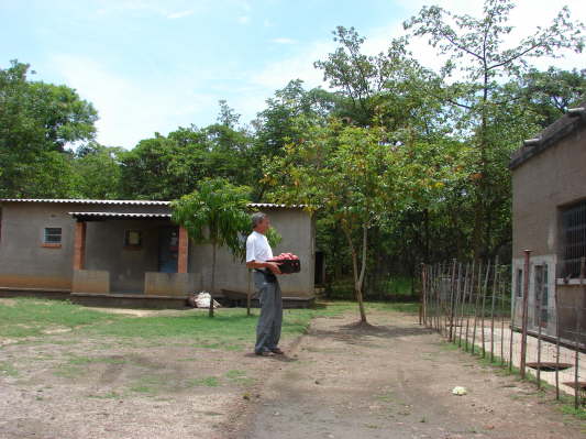 Chimfunshi