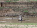 Croc Valley Camp, Mfuwe