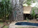 Ugedzi Lodge, Songo